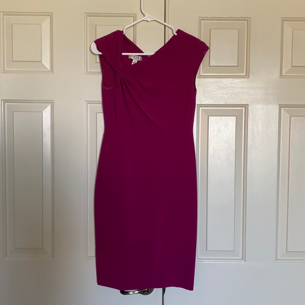 Pink Ivy & Blu size 2 dress